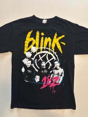 Y2K blink-182! Summer tour 2009 punk rock band shirt